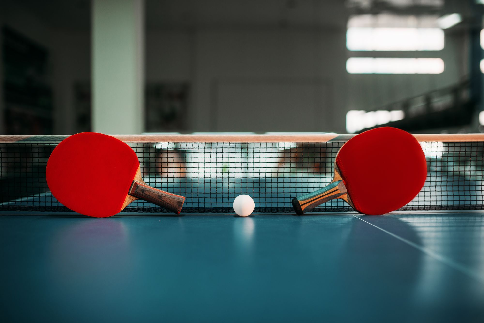 Spin Masters: Your Premier Destination for Table Tennis Excellence