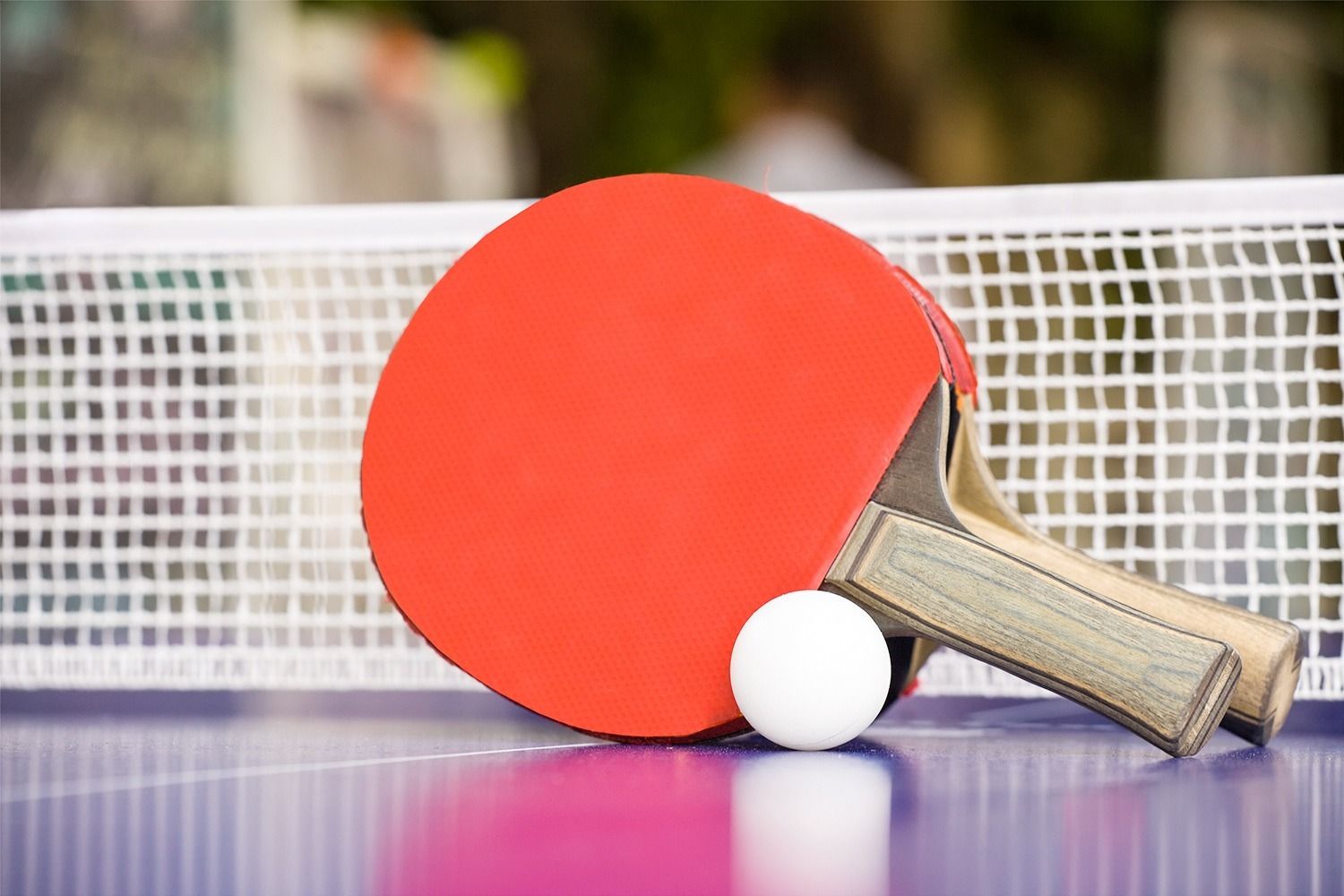 Spin Masters: Your Premier Destination for Table Tennis Equipment and Services