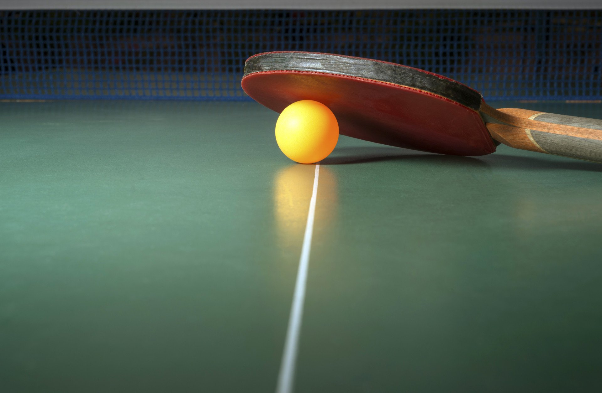 Spin Masters: Your Premier Destination for Table Tennis Equipment Consultation